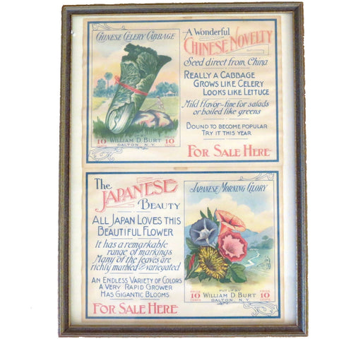 Antique unused Galloway vegetable seed packets from Wilmington NC (c 1918)